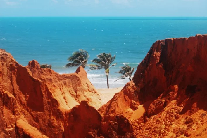 Praia de Lagoinha, Paraipaba — coqueiros (vertical)